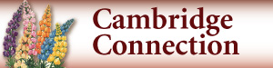 Cambridge Connections