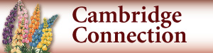Cambridge Connections