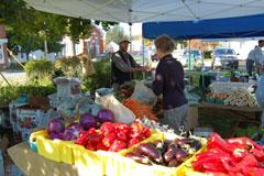 Farmers' market in Cambridge